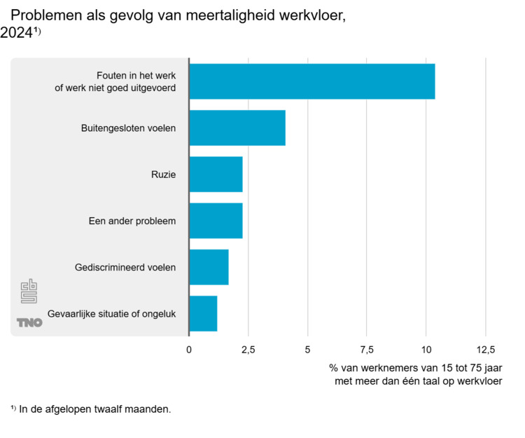 meertaligheid cbs.png